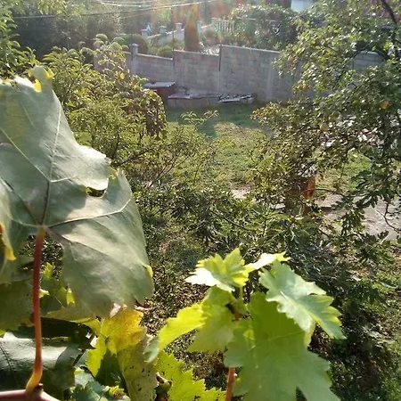 Mali Vikend Bed & Breakfast Belgrade
